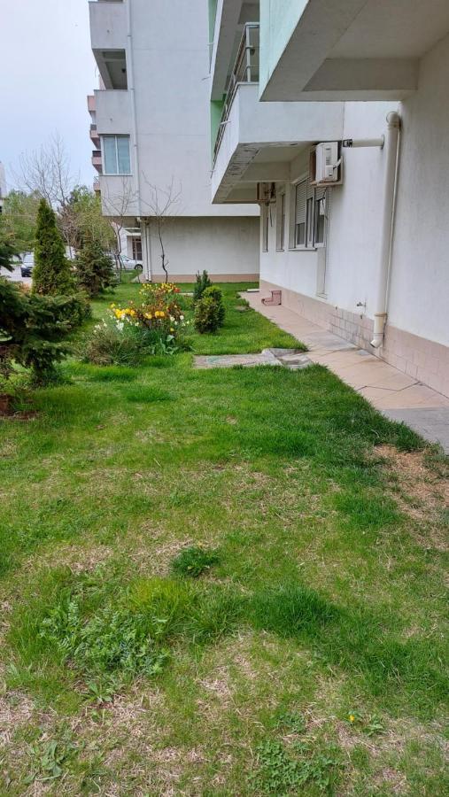 Mamaia Summerland Seaview Apartment Luaran gambar